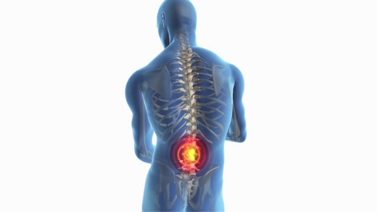 back pain - Treatment & Prevention - Lower back pain in rowing